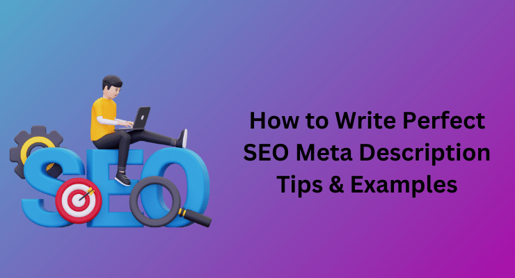 How to Write Perfect SEO Meta Description – Tips & Examples 2024